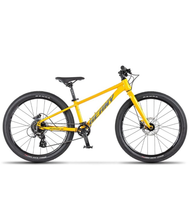 Beany Blaster XC 20 Kids Bike
