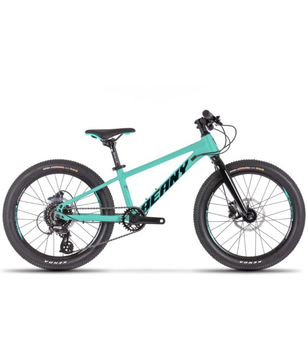 Beany Blaster XC 20 Kids Bike