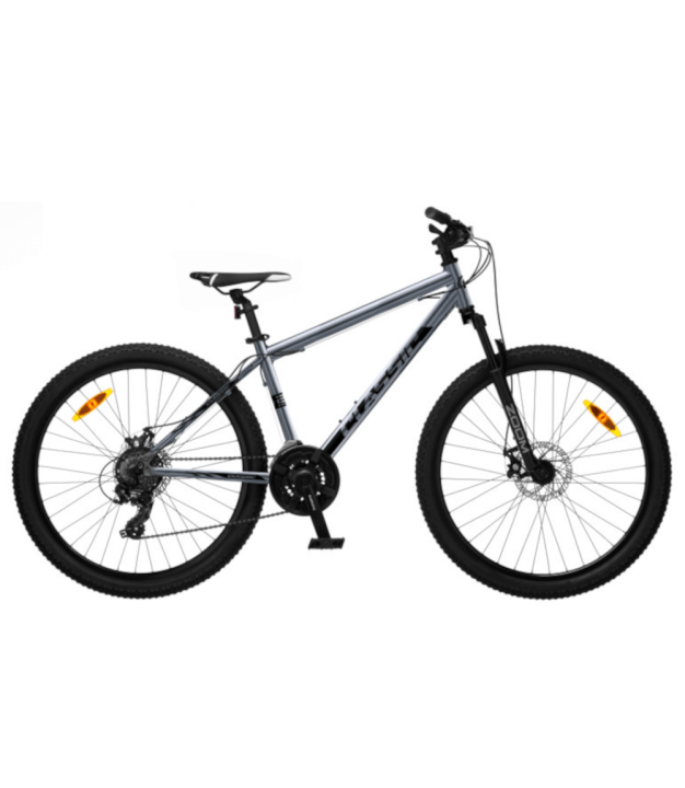 Classic Pro 26 Disc Bike, Metallic