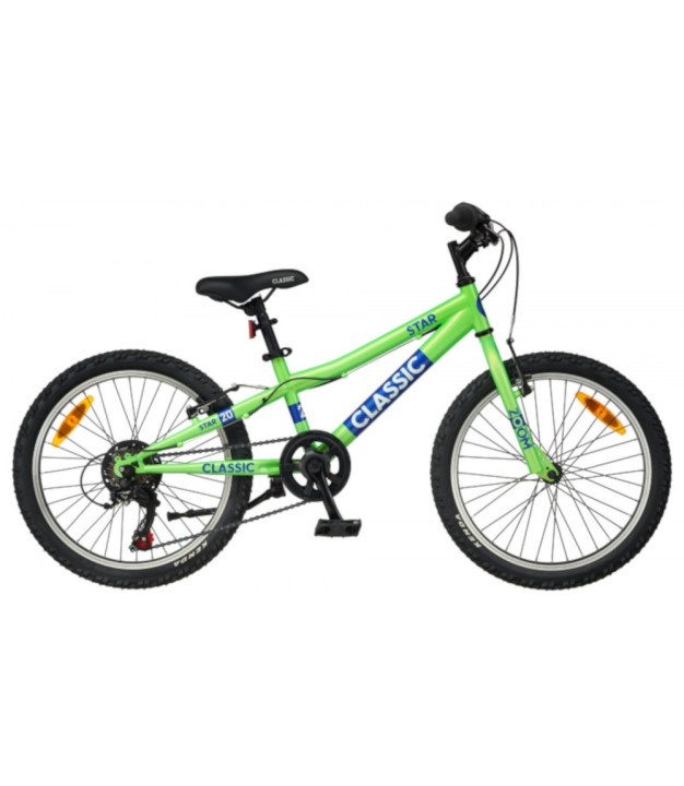 Classic Star 20'' Kids Bike, Green